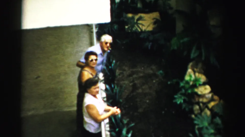 Three adults appear in a Las Vegas indoor garden scene, with a railing, dense greenery, stone features, and bright wall openings around them.