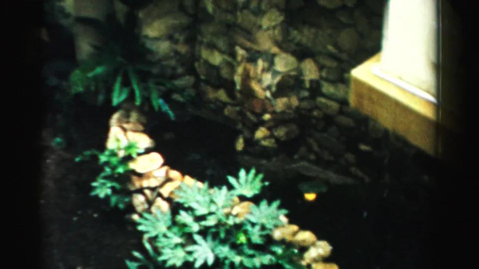 The final frame moves away from the visitors to show the Las Vegas indoor garden's stonework, dense plants, dark water, and bright window edge.