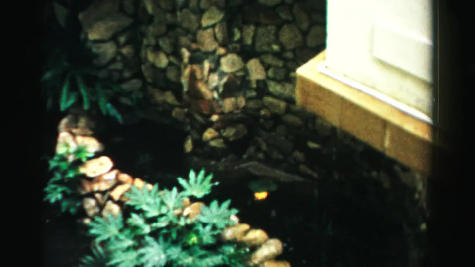 1957 Las Vegas 8mm frame showing a stone-bordered pond, dense green planting, and part of a pale exterior structure.