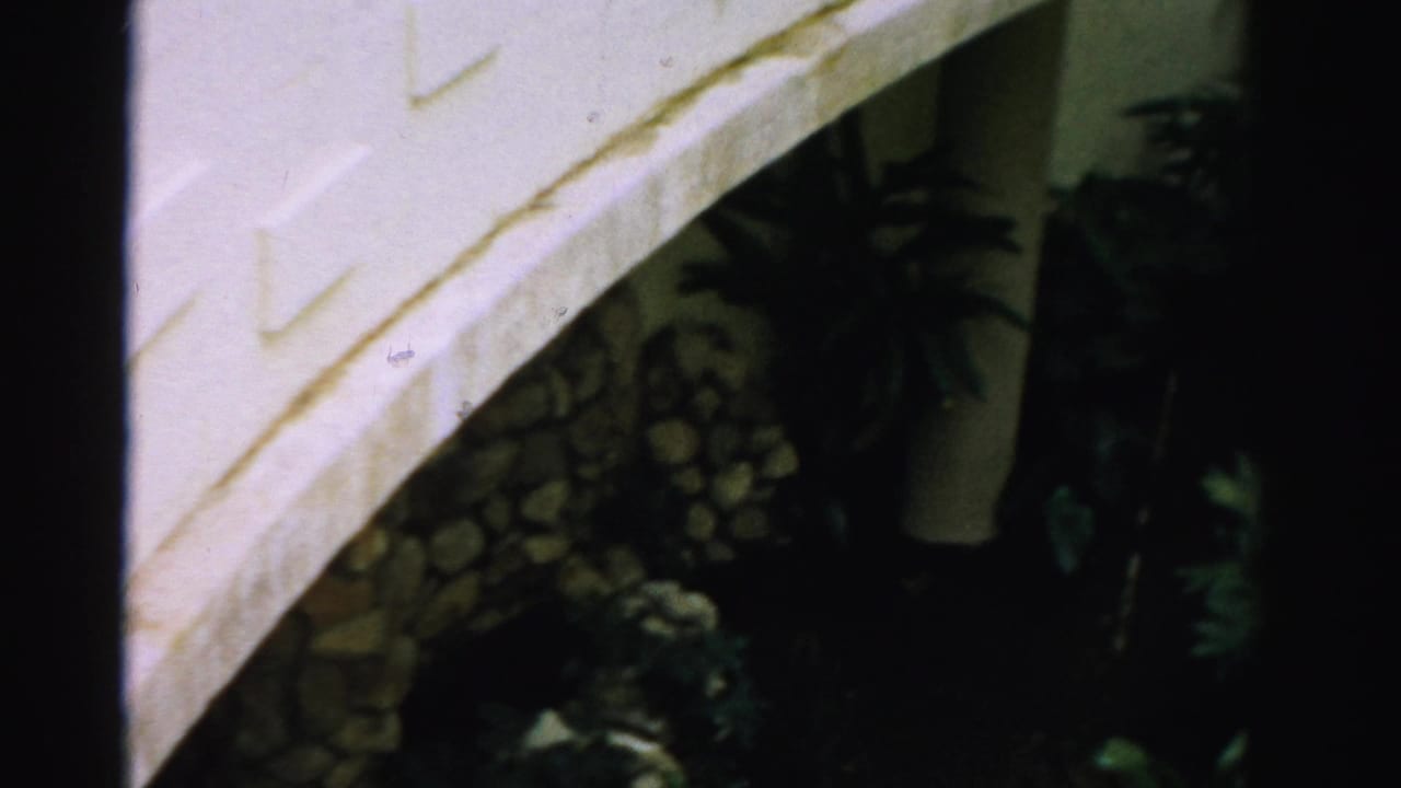 Angled white wall above shadowed stonework and dark leafy plants.