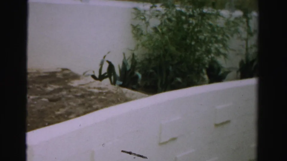 1957 Las Vegas 8mm frame showing a white low wall beside a planted bed, with a rough ground surface and visible film scratch.