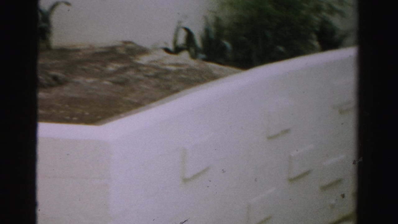 White planter walls with soil beds and greenery in soft 8mm color.