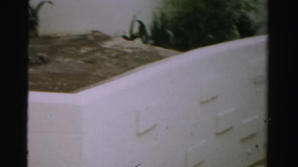 1957 Las Vegas home-movie frame showing white planter walls, soil beds, and greenery in a private garden area.