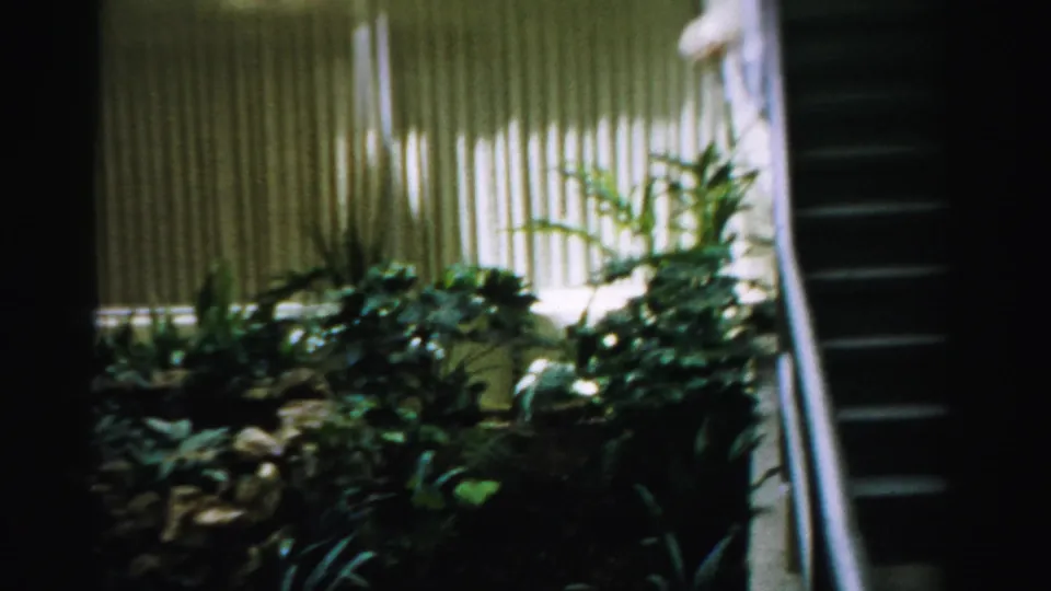 1957 Las Vegas home-movie frame with dense plants, vertical blinds, a stair rail, and a partly obscured person at the frame edge.
