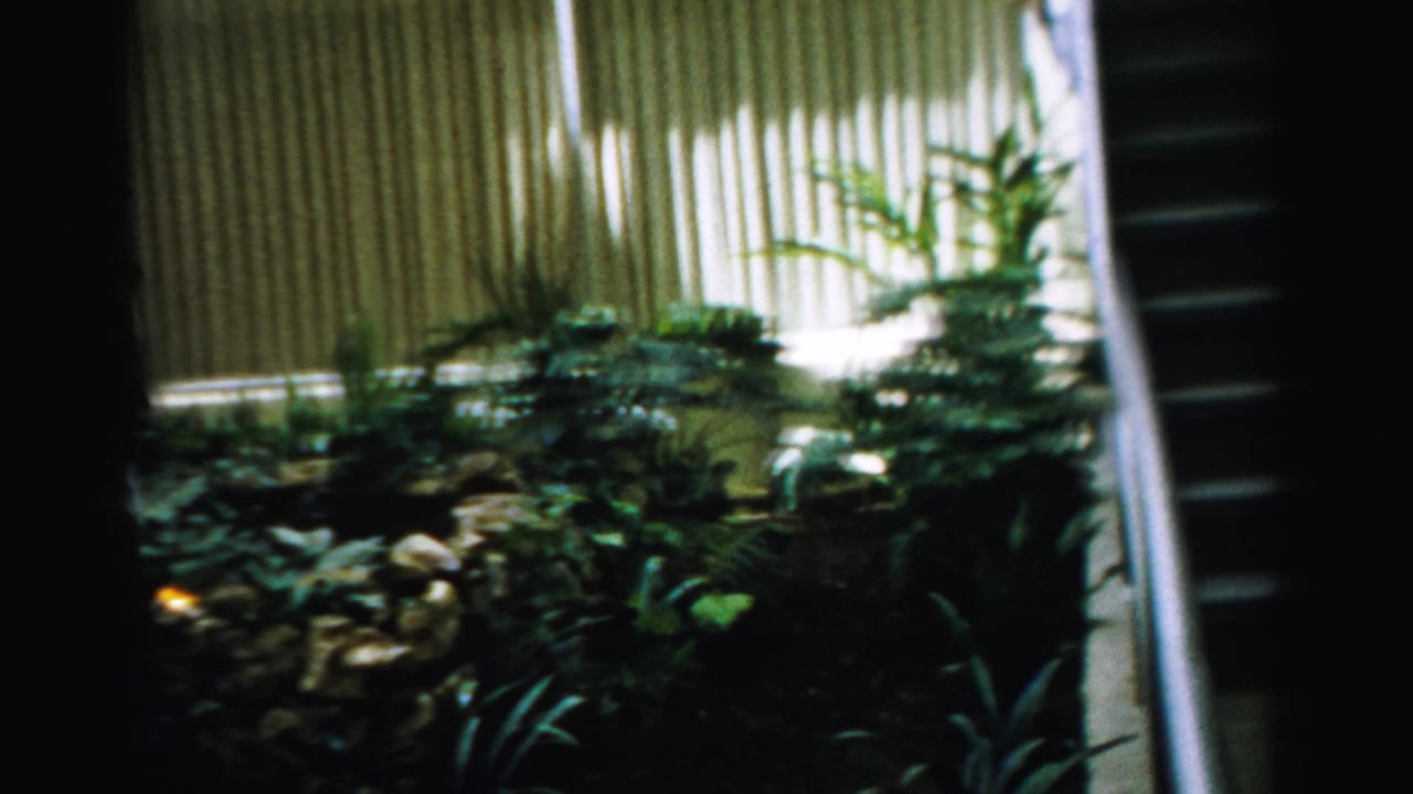 Stone garden feature with leafy plants, vertical panels, and a partial green car at left.