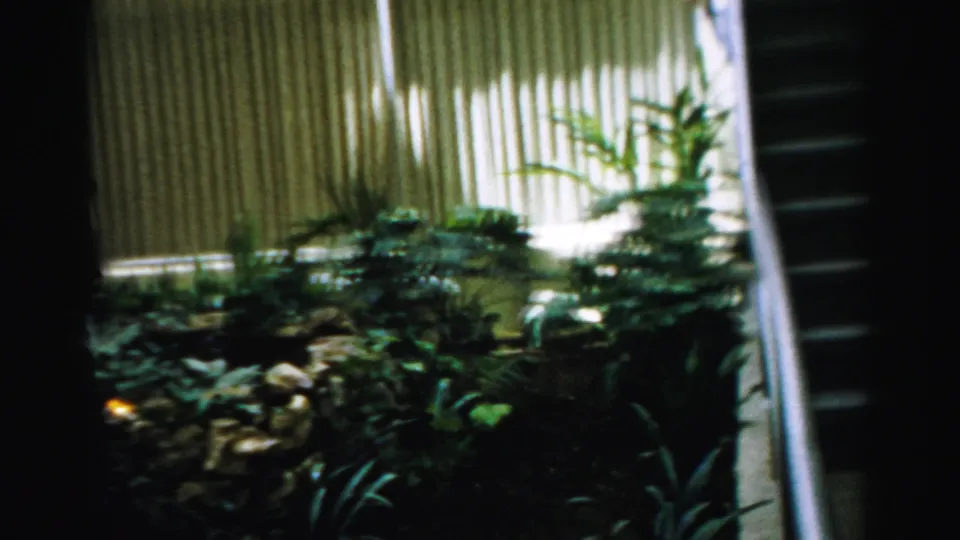 1957 Las Vegas home-movie frame showing a shaded garden area, stonework, leafy plants, vertical panels, and part of a green car.