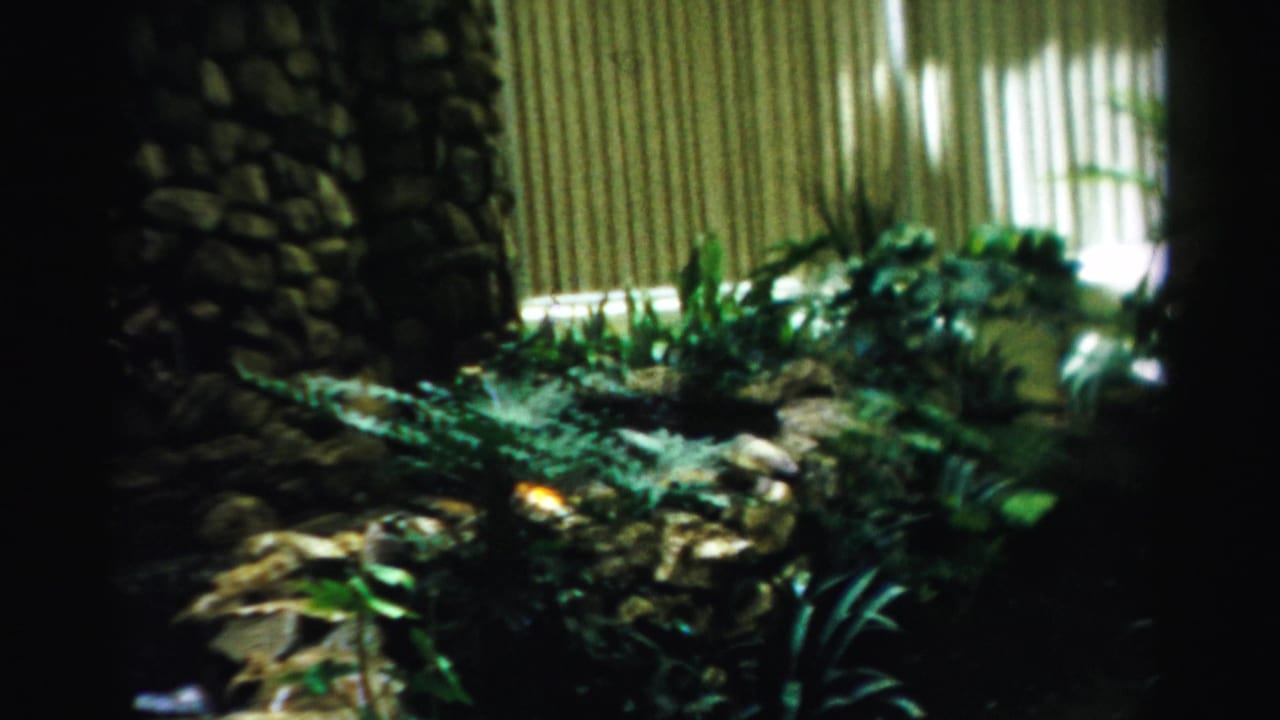 1957 Las Vegas frame showing dense greenery, a low stone garden feature, vertical slatted panels, and deep shadow around the walkway.
