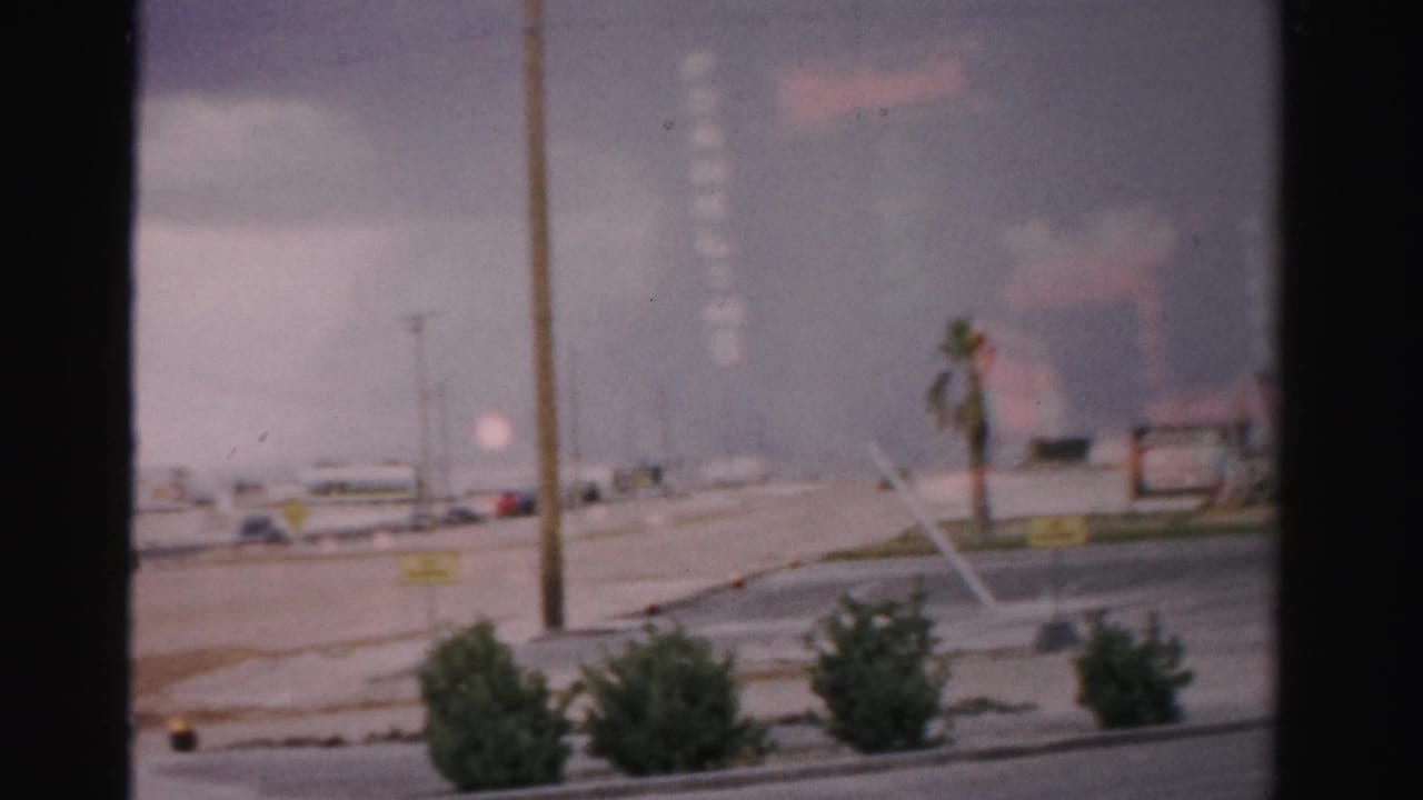 Roadway with palm tree, parked or passing cars, low shrubs, and distant signage.