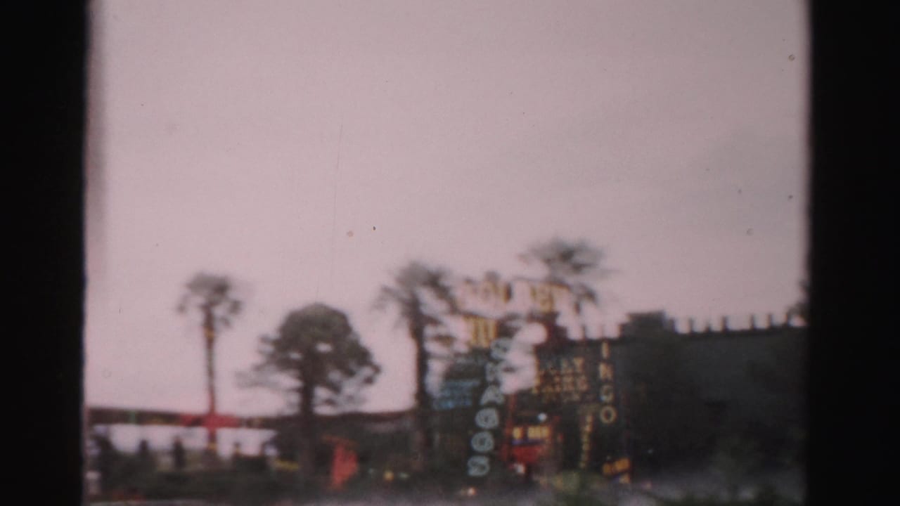 Hotel Flamingo signage and palm trees viewed through a dark window frame.