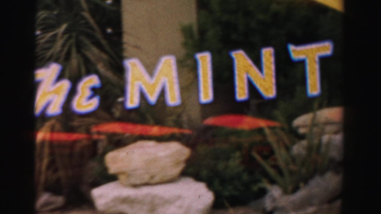 Painted The Mint letters behind rocks and tropical-looking plants.