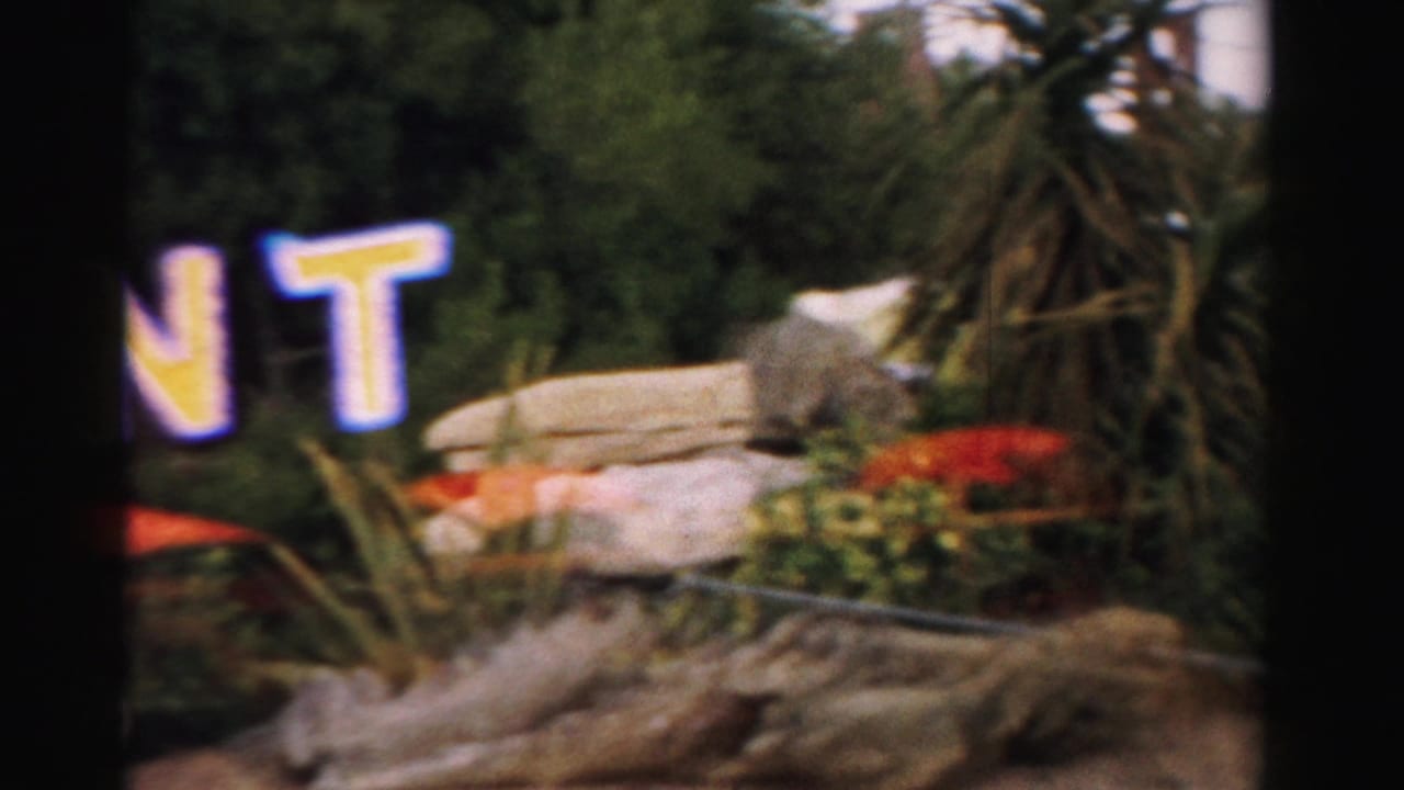 Partial The Mint letters with rocks, plants, and dark film gate area.