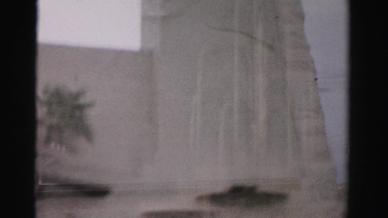Soft view through dark window dividers toward a pale building exterior and a hint of palm foliage.