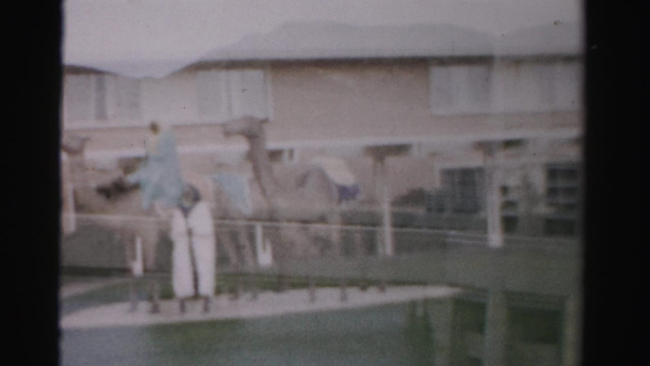 Soft 8mm frame of a camel display with a robed figure and nearby adult in Las Vegas, Nevada, supported by clip metadata.