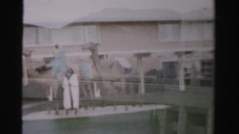 Soft 8mm frame of a camel display with a robed figure and nearby adult in Las Vegas, Nevada, supported by clip metadata.