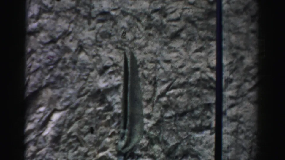 Close 8mm view of a textured stone wall and narrow vertical metal form, likely part of an outdoor artwork in Nevada.