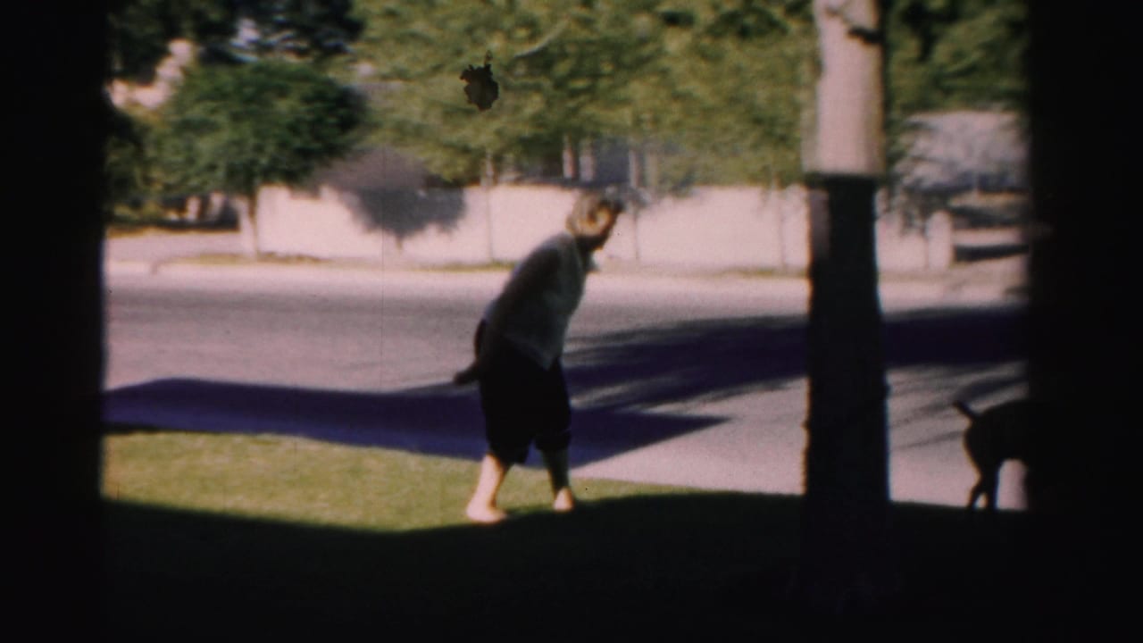 Woman on a suburban lawn near tree trunks with a dark dog partly visible.