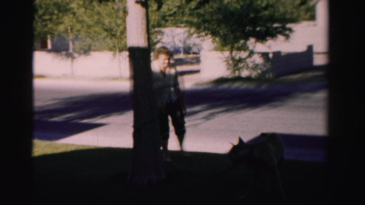 Woman stands near a tree while a dark dog moves across the lawn.