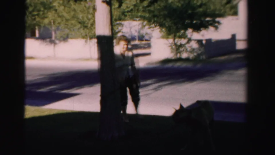 A woman in a light top and dark pants stands near a tree as a dark dog crosses the shaded grass in Nevada.