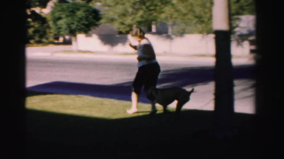 The woman turns on the lawn beside the dark dog, with pavement, trees, and a pale roadside wall behind them.