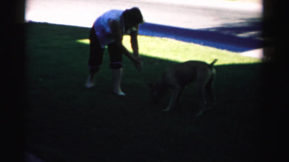 In 1957 Nevada home-movie footage, an adult man bends toward a brown dog on a shaded backyard lawn.