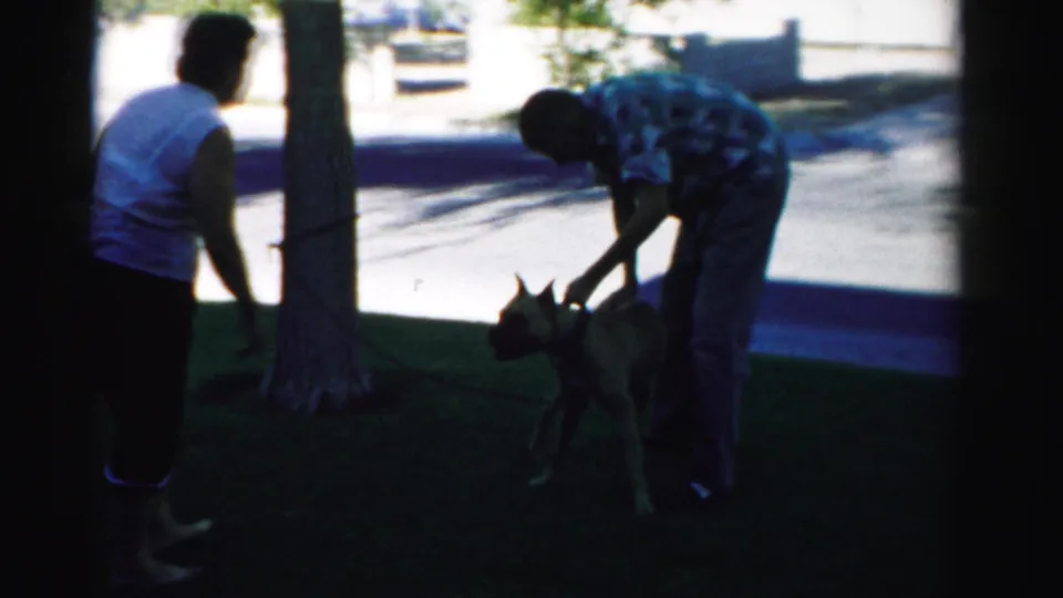 A man in a patterned shirt bends toward the large dog as another adult stands by a tree in this 1957 Nevada home-movie frame.