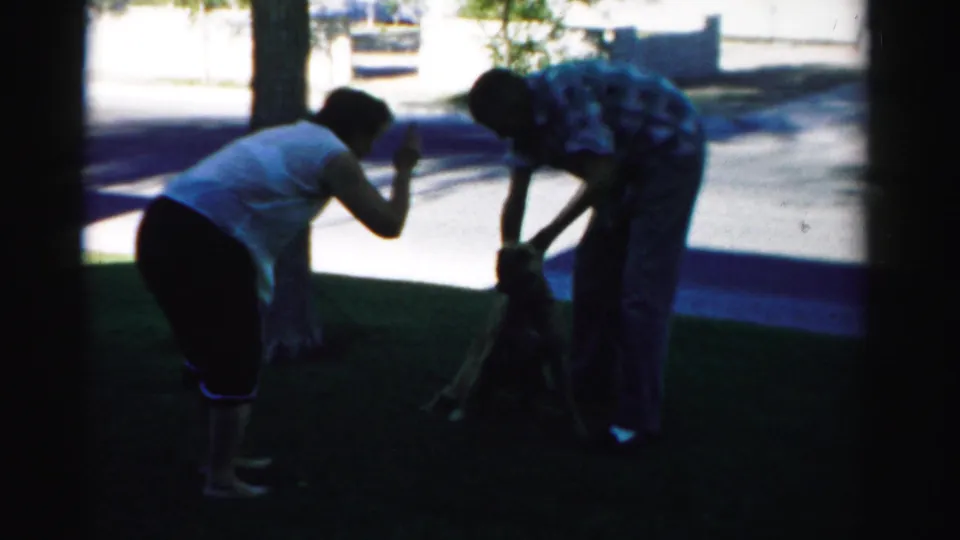 Two adults lean toward a large dog near a tree, appearing to secure or adjust the leash on a shaded Nevada lawn.