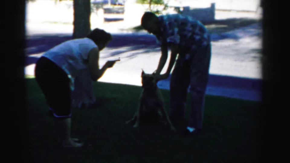 A woman in shorts points near a seated dog while a man in a plaid shirt bends toward the dog in a Nevada yard scene.