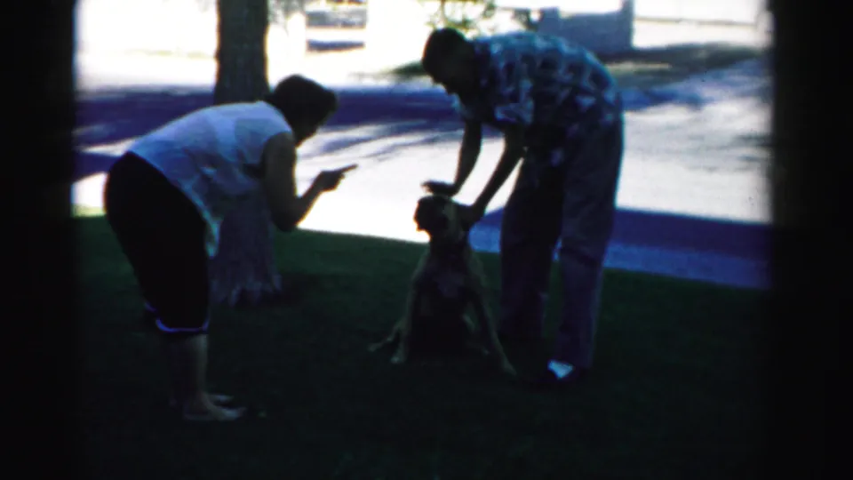 The 8mm frame shows two adults attending to a seated dog on a lawn, with bright pavement and a tree beyond them.