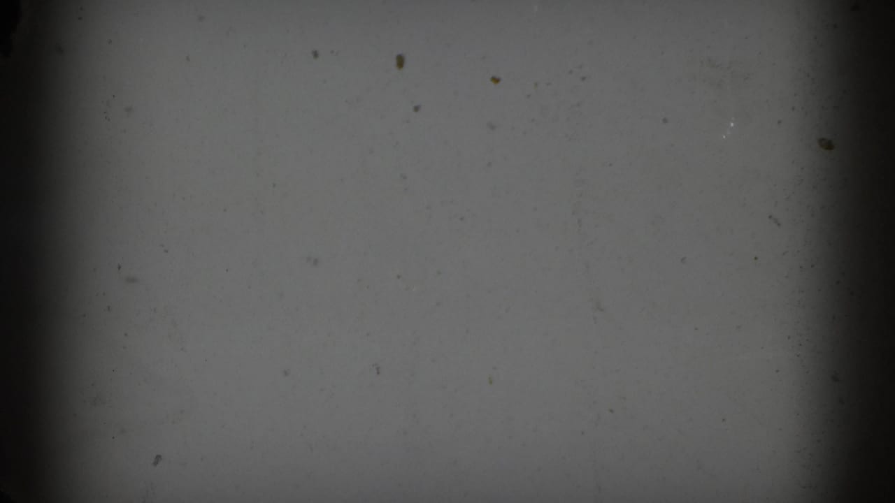 Mostly blank gray film area with dark gate edges and dust specks.