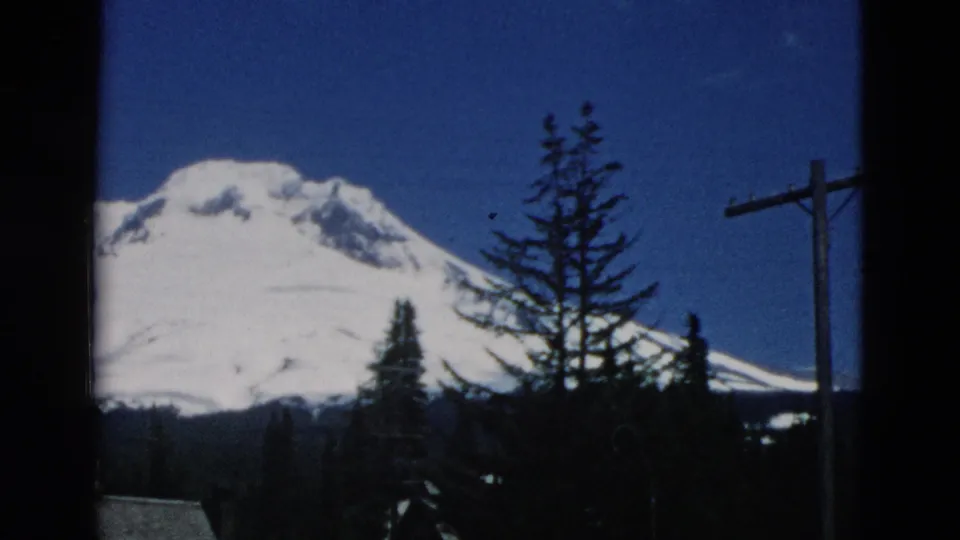 Snowy mountain landscape with evergreen trees in front and a wooden utility pole visible near the right edge.
