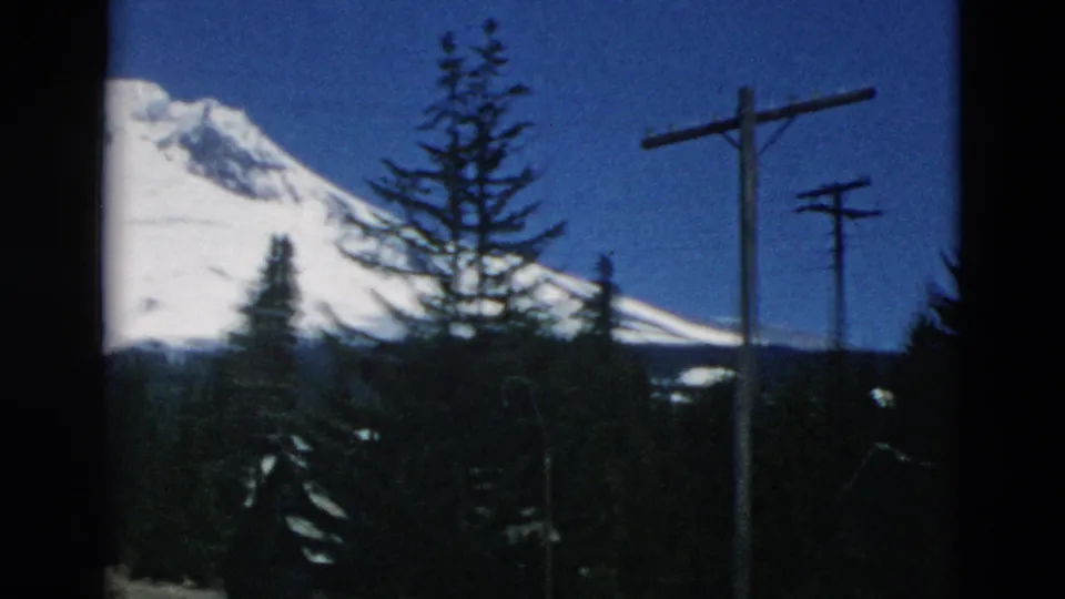 A snow-covered mountain is seen through evergreens, with wooden utility poles and dark foreground trees suggesting a settled roadside or lodge area.