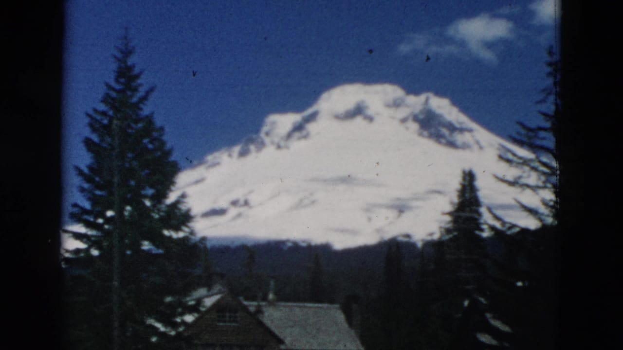Snowy mountain landscape framed by evergreen trees under a blue sky.