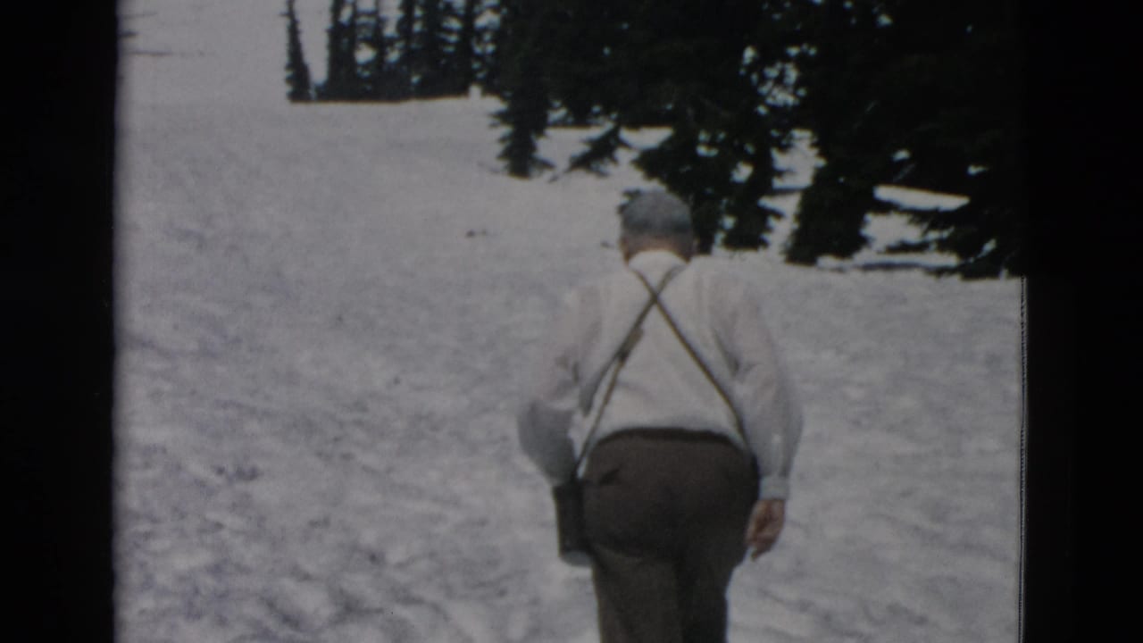 Man seen from behind walking uphill through snow near evergreen trees.