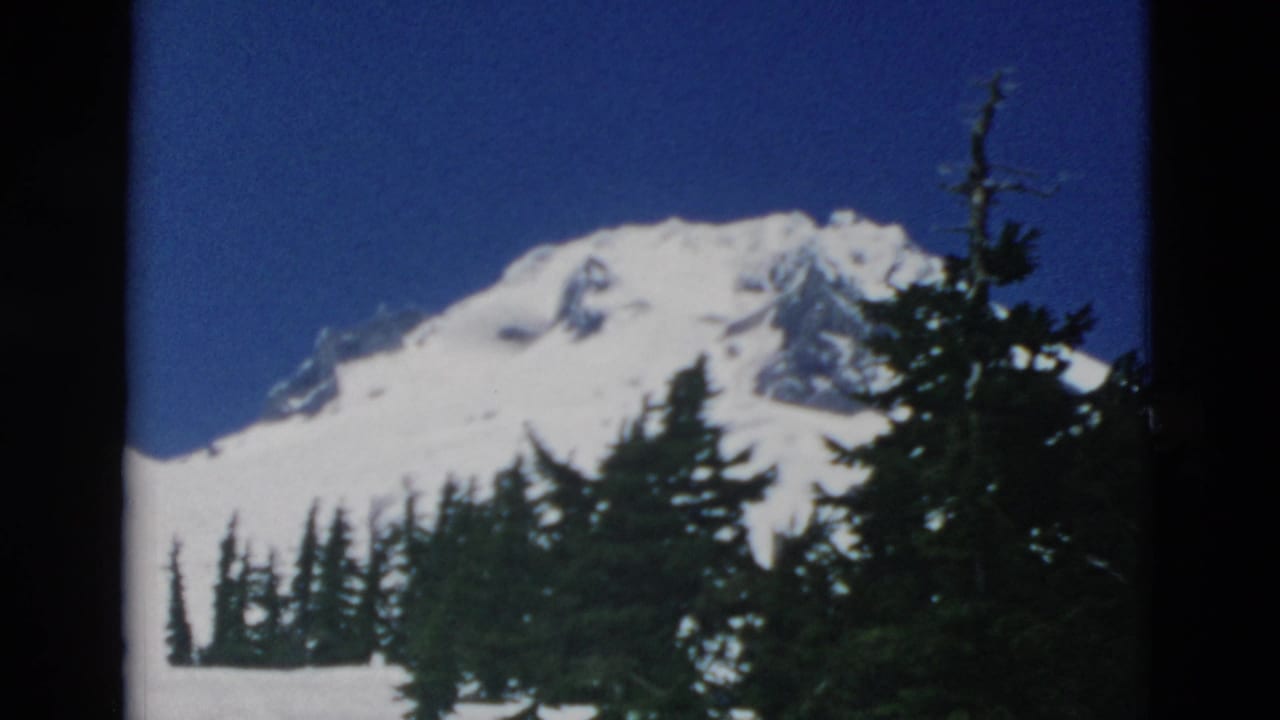 Snow-covered mountain peak behind evergreen trees under a blue sky.