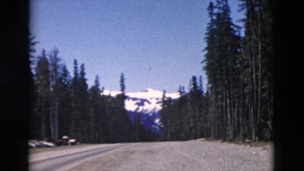 Gravel mountain road through forest with snowy ridge in the distance.