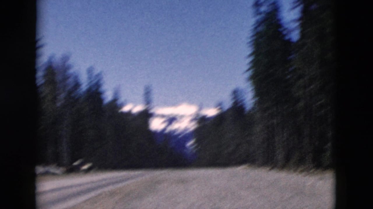 Curving mountain road bordered by dark pine forest with snowy peaks in the distance.