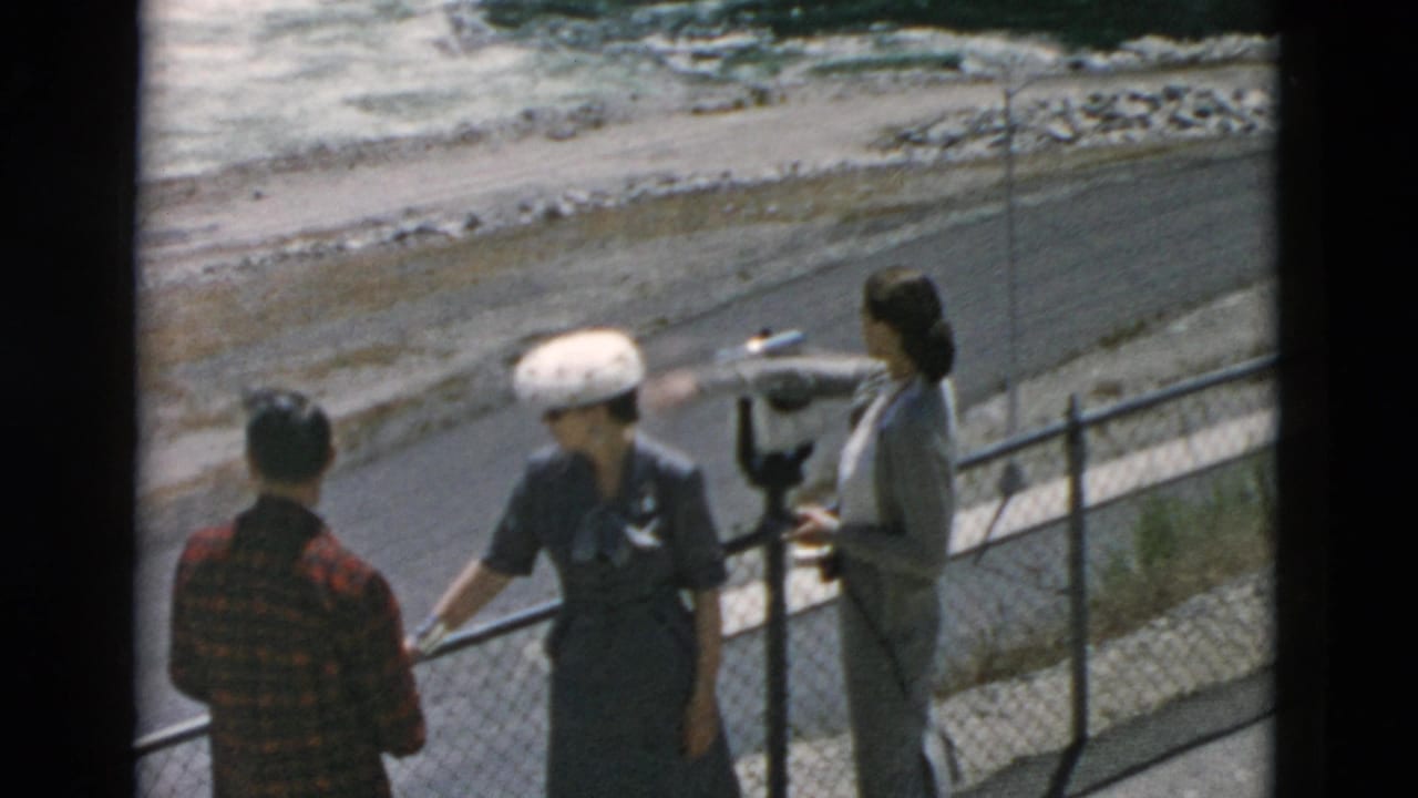 Three adults stand by a chain-link fence and coin-operated viewer near rushing water.