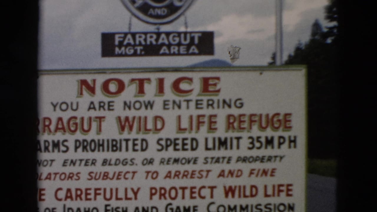 Partly cropped refuge notice with a dark vertical film edge crossing the sign.