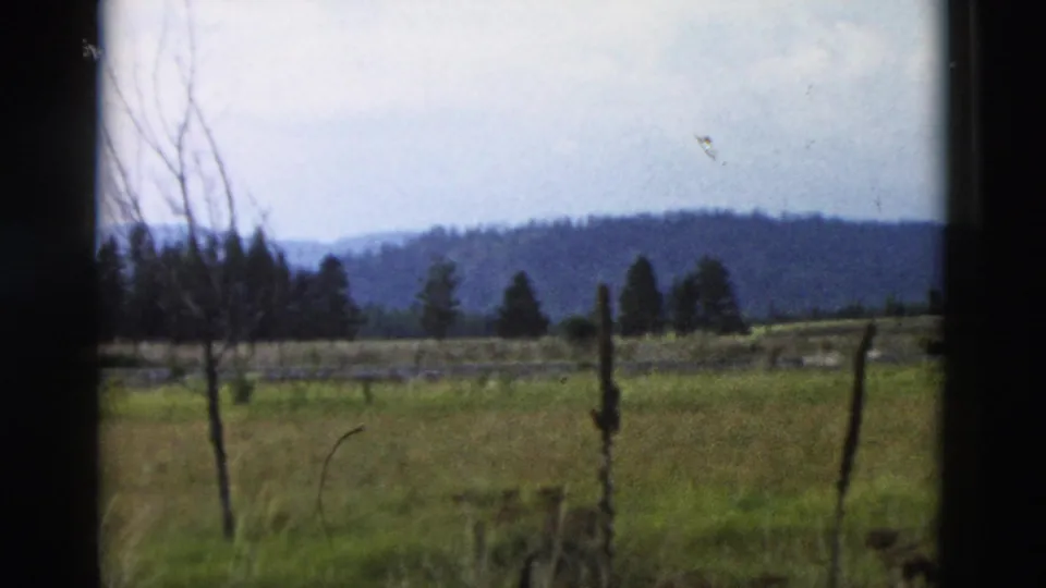 The Yellowstone 8mm view pans away to a grassy field with fence posts, sparse trees, and distant wooded hills.