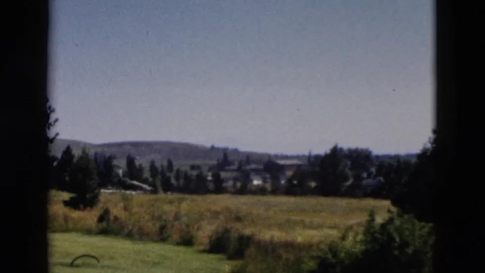 1958 Yellowstone-area home-movie landscape showing open grass, trees, shrubs, and low hills beyond a window edge.