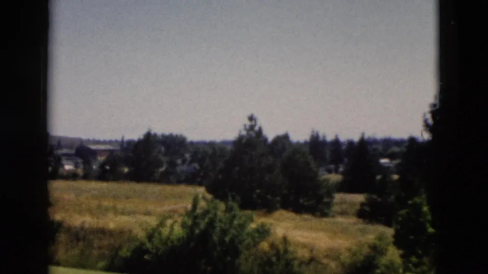 1958 Yellowstone-area panning frame with grassland, foreground shrubs, dense trees, distant buildings, and low hills.
