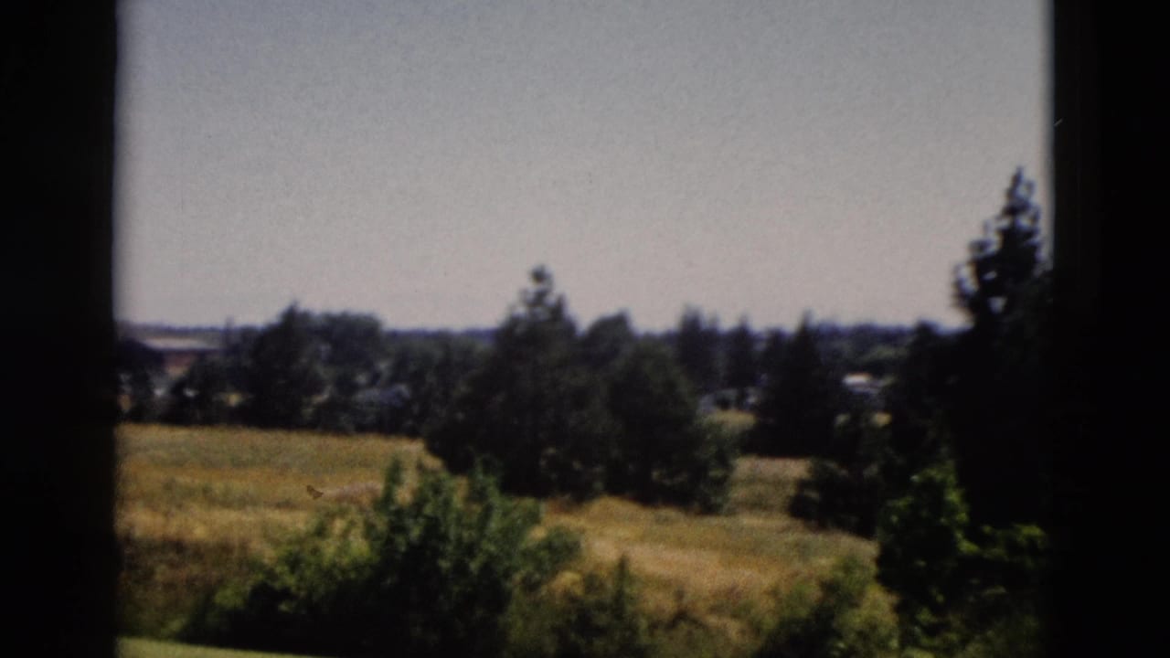 Sunlit field with scattered trees and a distant treeline seen through dark vertical frame edges.