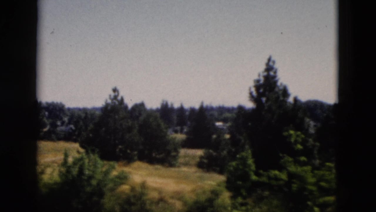 1958 Yellowstone, Wyoming landscape frame with open grass, pine trees, distant woods, and soft 8mm color grain.