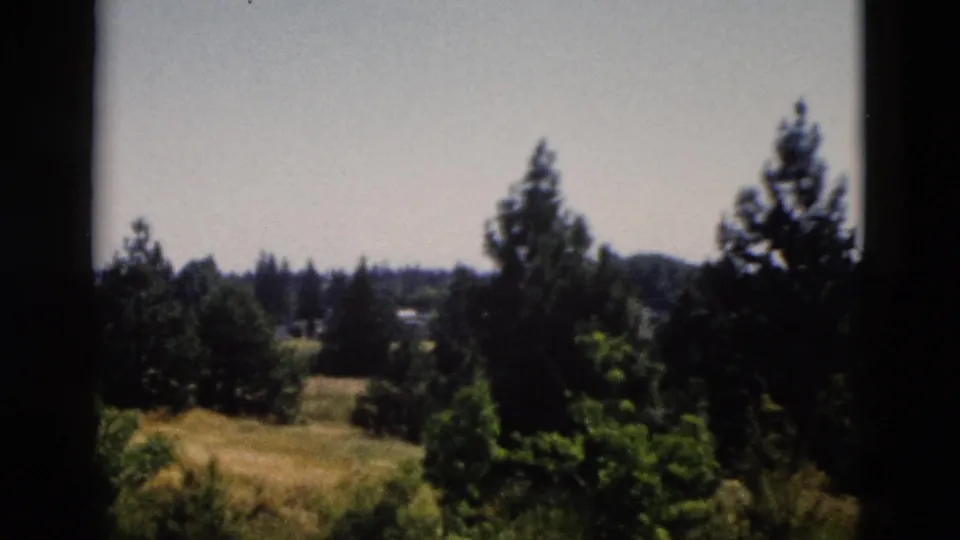 1958 Yellowstone, Wyoming home-movie view of a grassy field, foreground shrubs, tall trees, and a distant horizon.