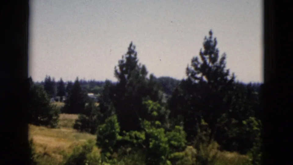 1958 Yellowstone, Wyoming 8mm frame showing a flat field, clustered trees, distant treeline, and dark frame-edge shadows.