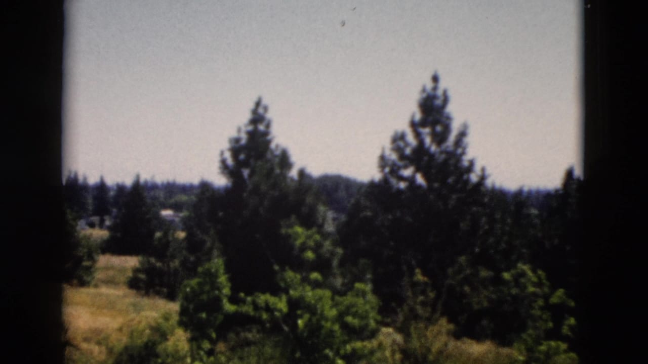 Evergreen trees and distant wooded hills seen through dark vertical frame edges.