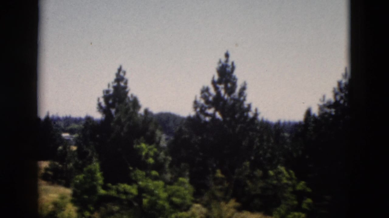 Yellowstone, Wyoming forest view from 1958 8mm footage, showing conifers, distant hills, and dark side framing.