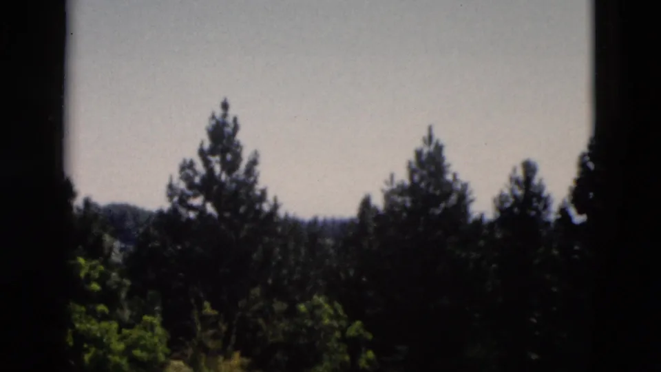 Yellowstone, Wyoming 8mm frame showing a quiet forest landscape, conifers, low hills, and dark window-like borders.