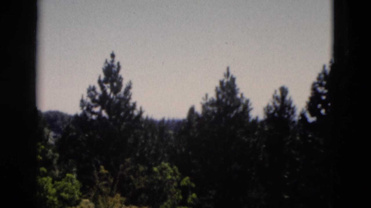 1958 Yellowstone home-movie frame showing evergreen trees silhouetted below a bright sky.