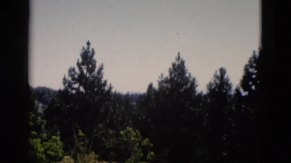 1958 Yellowstone home-movie frame showing evergreen trees silhouetted below a bright sky.